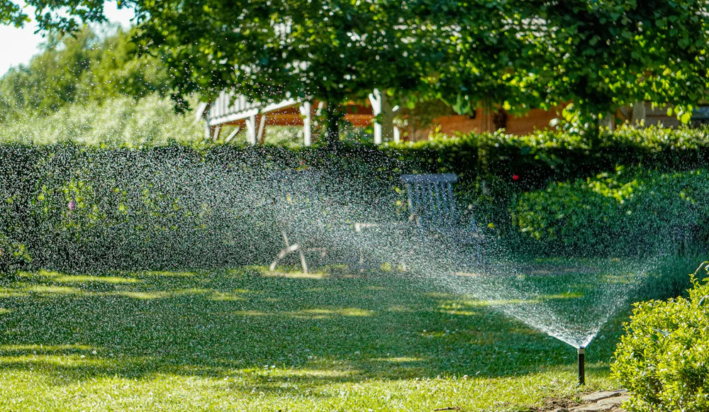 Automatische Beregening Gazon: Een Gids voor Optimale Tuinberegening en Pop-Up Sproeiers